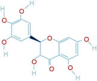 Dihydromyricetin Alleviates Pulmonary Fibrosis by Regulating Abnormal Fibroblasts Through the STAT3/p-STAT3/GLUT1 Signaling Pathway